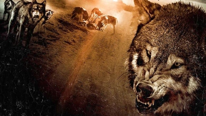 Wolf Town image