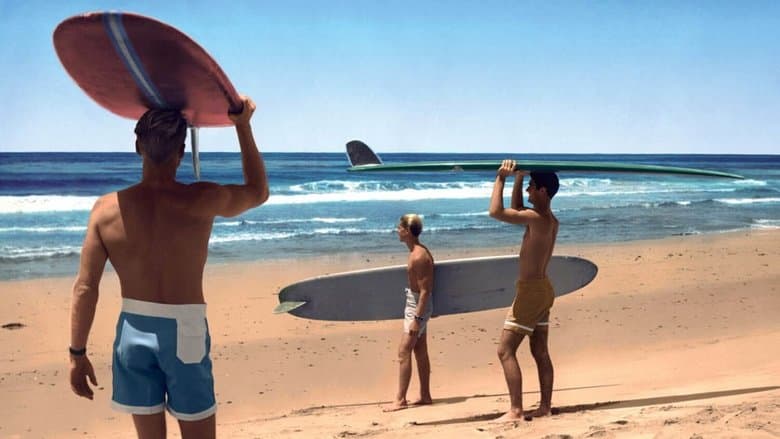 The Endless Summer image
