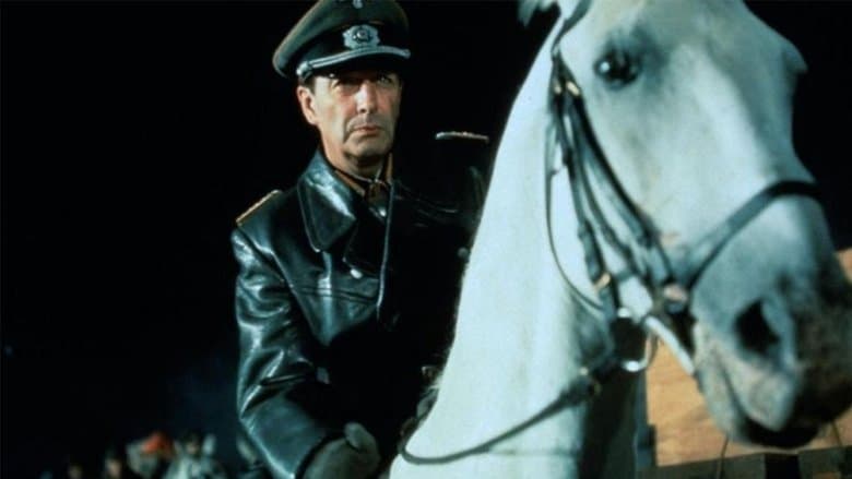 Miracle of the White Stallions image