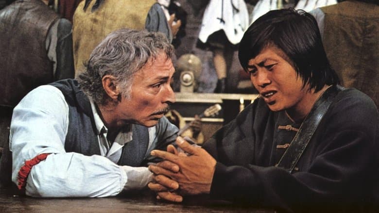 The Stranger and the Gunfighter image