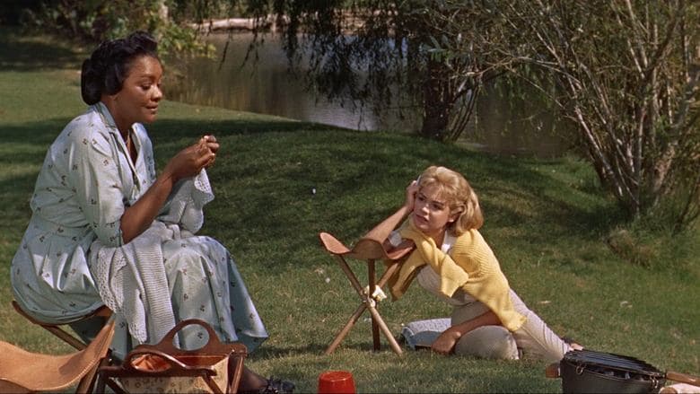 Imitation of Life image