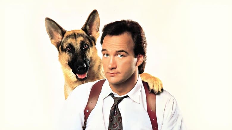 K-9 image