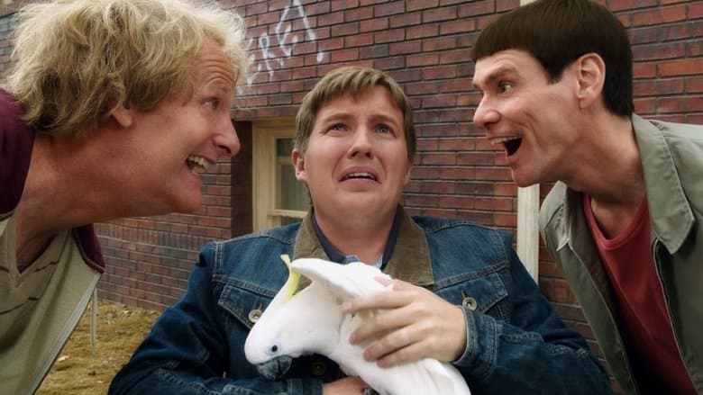 Dumb and Dumber To image