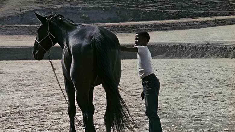 The Horse image