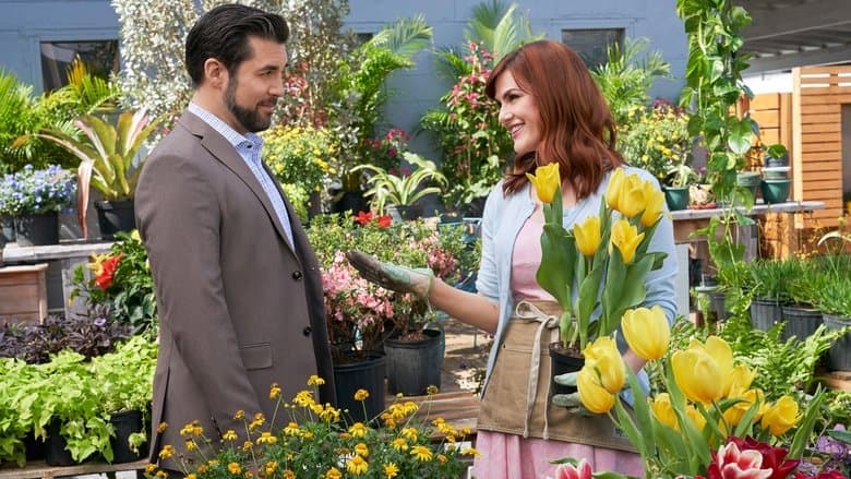 True Love Blooms image