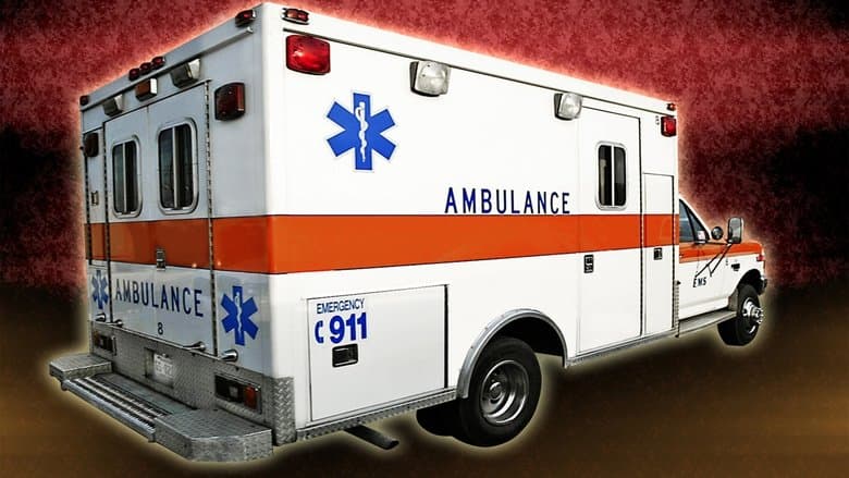 Rescue 911 image