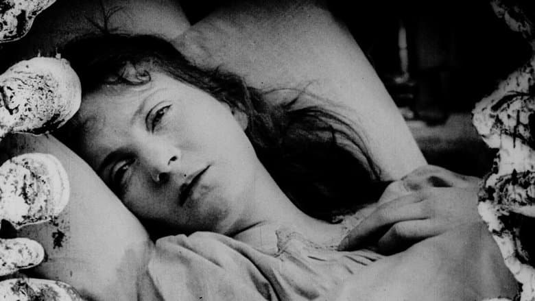 Dawson City: Frozen Time image