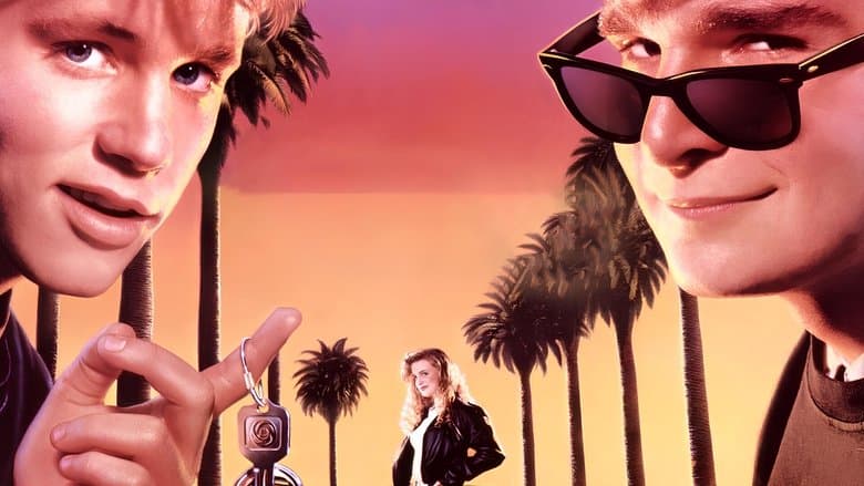 License to Drive image