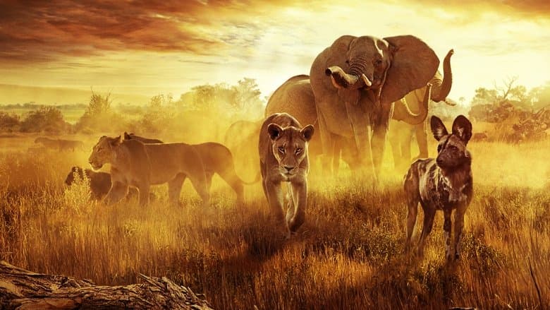 Surviving Paradise: A Family Tale image