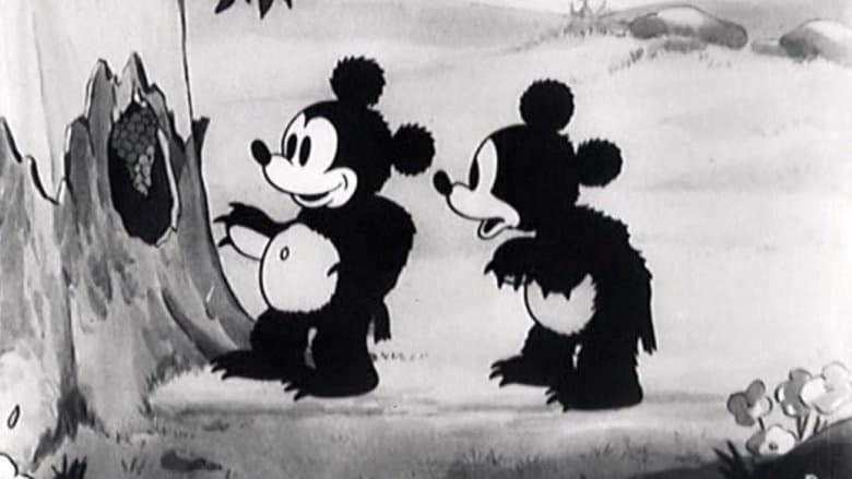 The Bears and the Bees image
