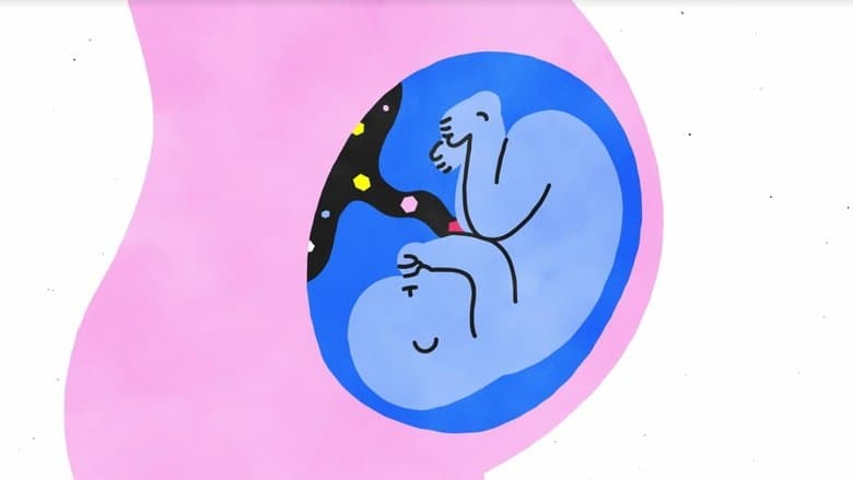 Sex, Explained image