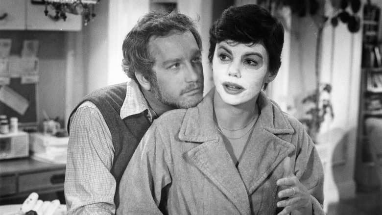 The Goodbye Girl image