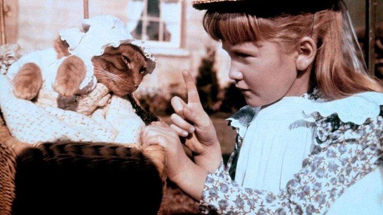 The Three Lives of Thomasina image