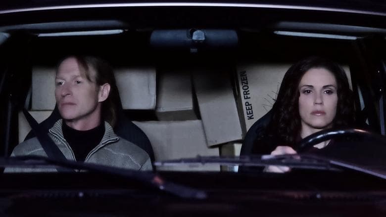 Nikki and the Perfect Stranger image