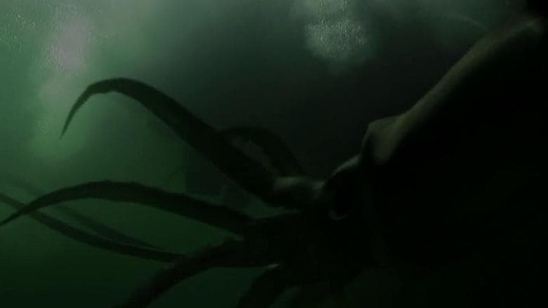 Kraken: Tentacles of the Deep image