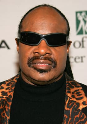 Stevie Wonder image