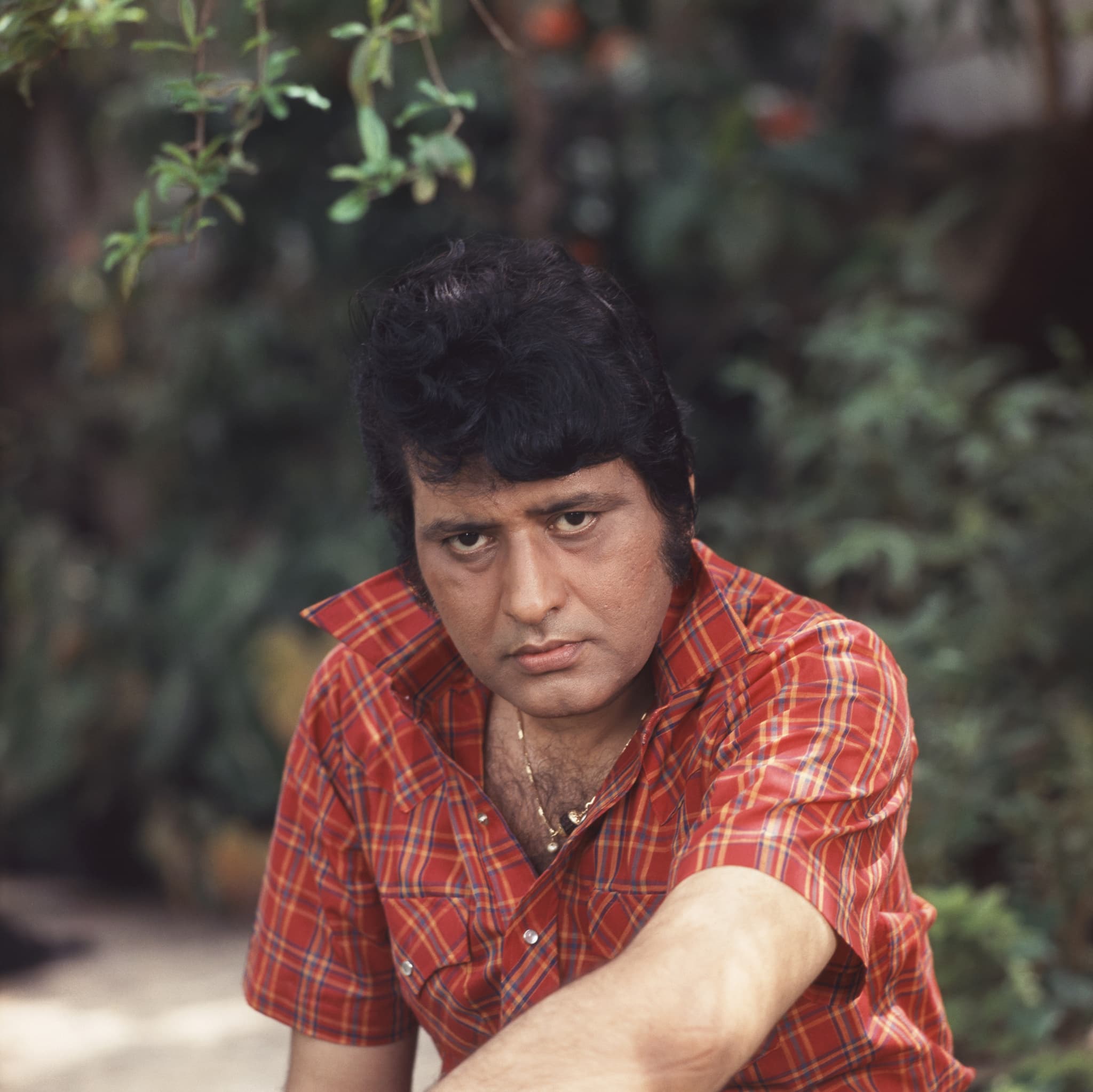 Manoj Kumar image