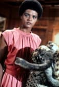 Angela Bruce image