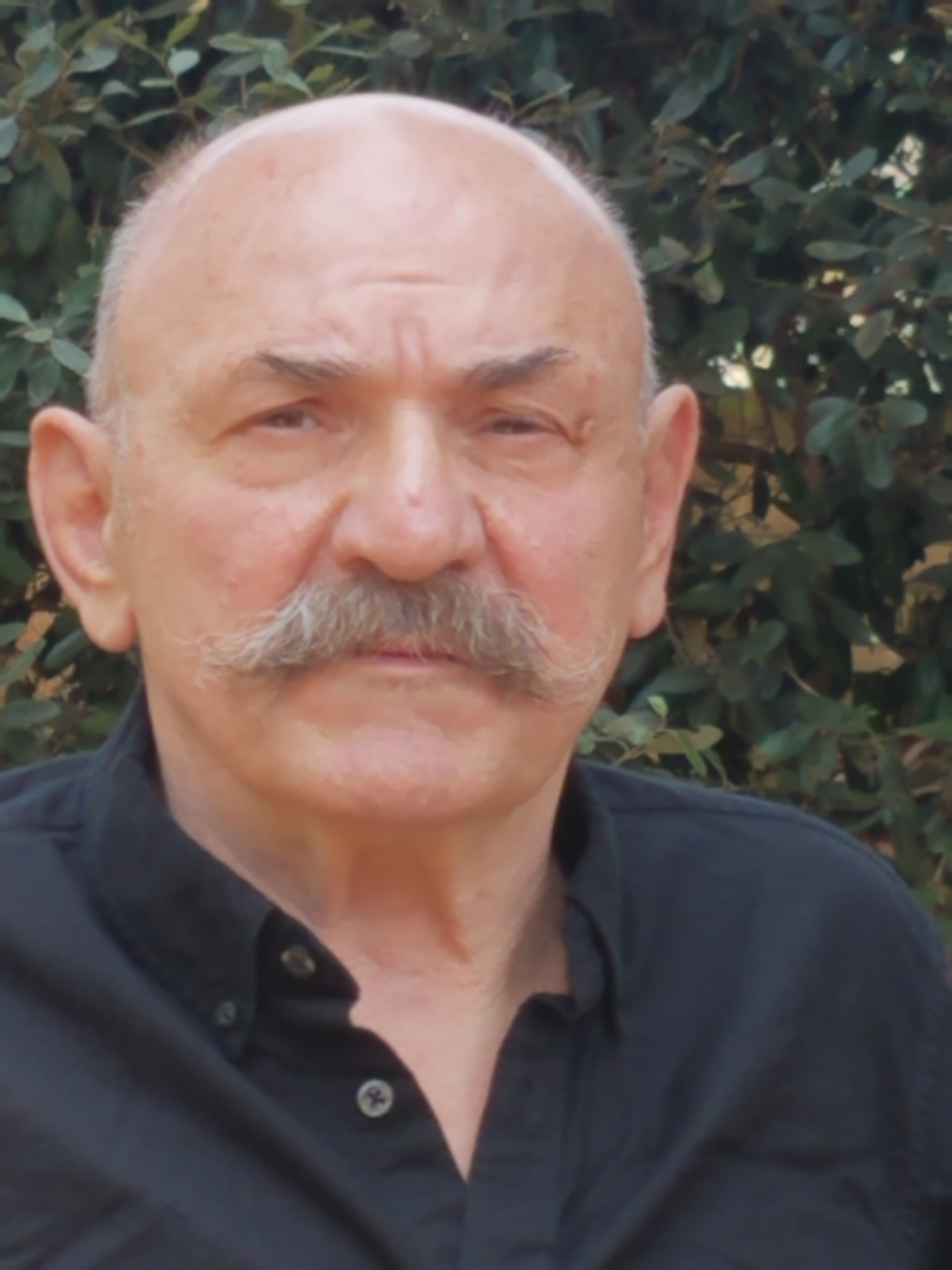 Ben DiGregorio image
