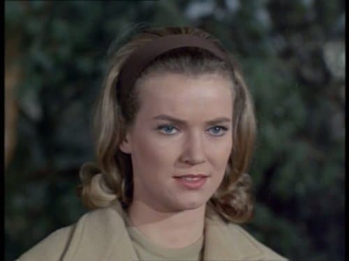 Suzan Farmer image