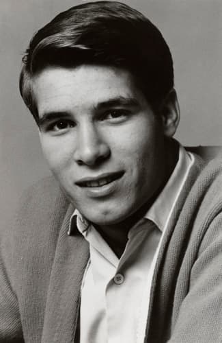 Don Grady image