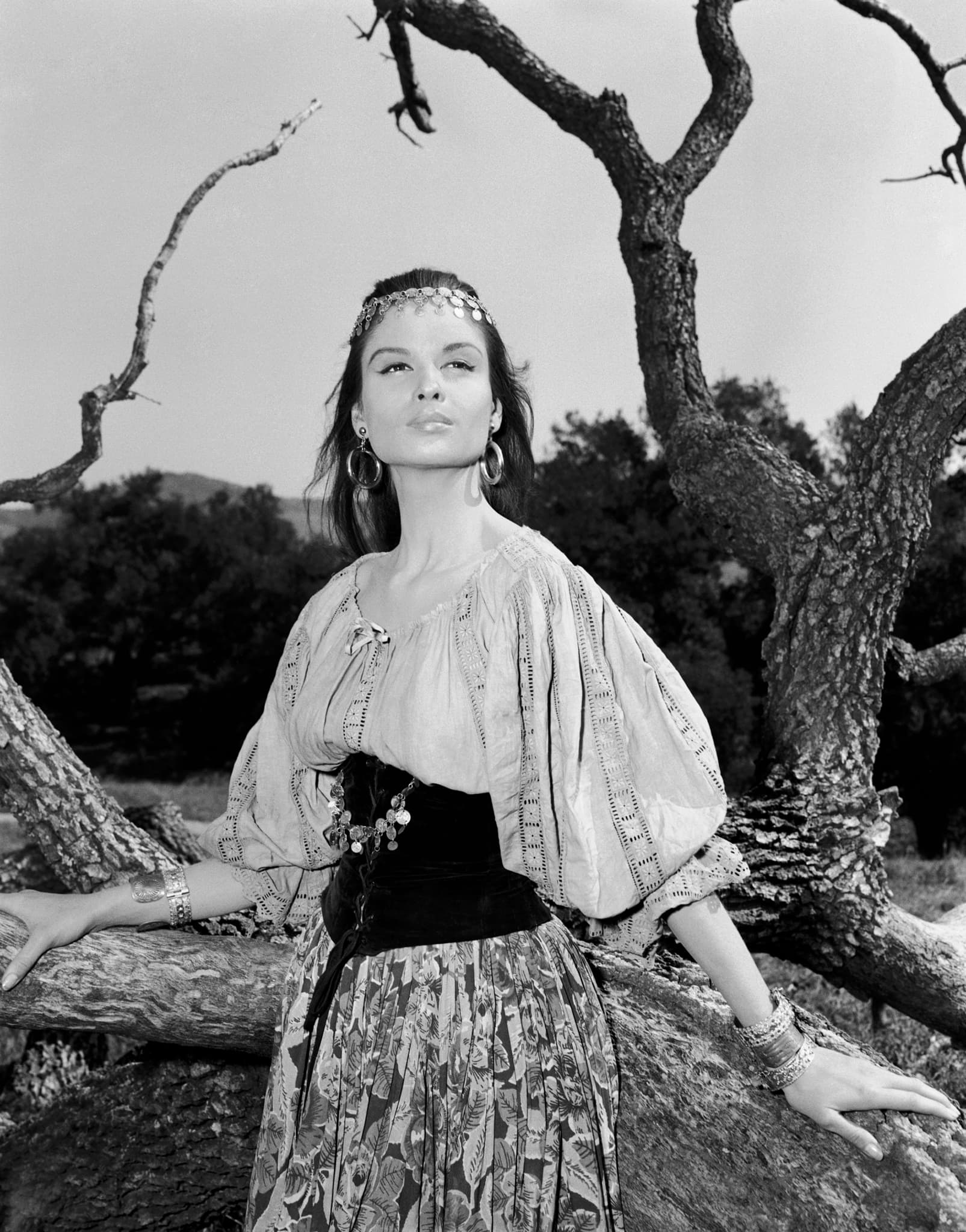 Susan Harrison image