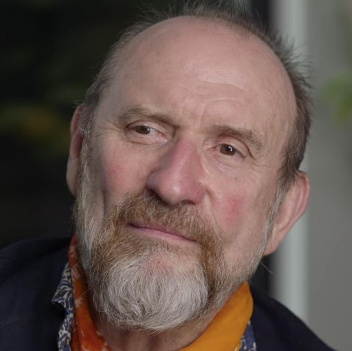 Colin Hay image