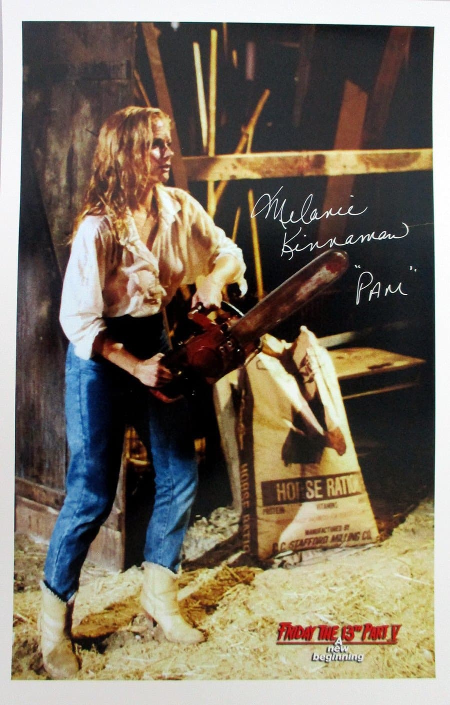 Melanie Kinnaman image