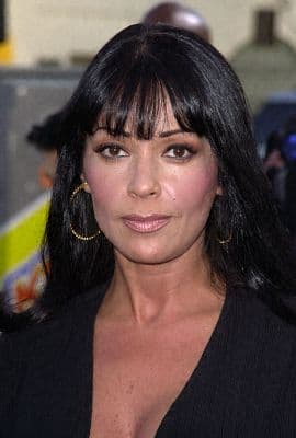 Apollonia Kotero image