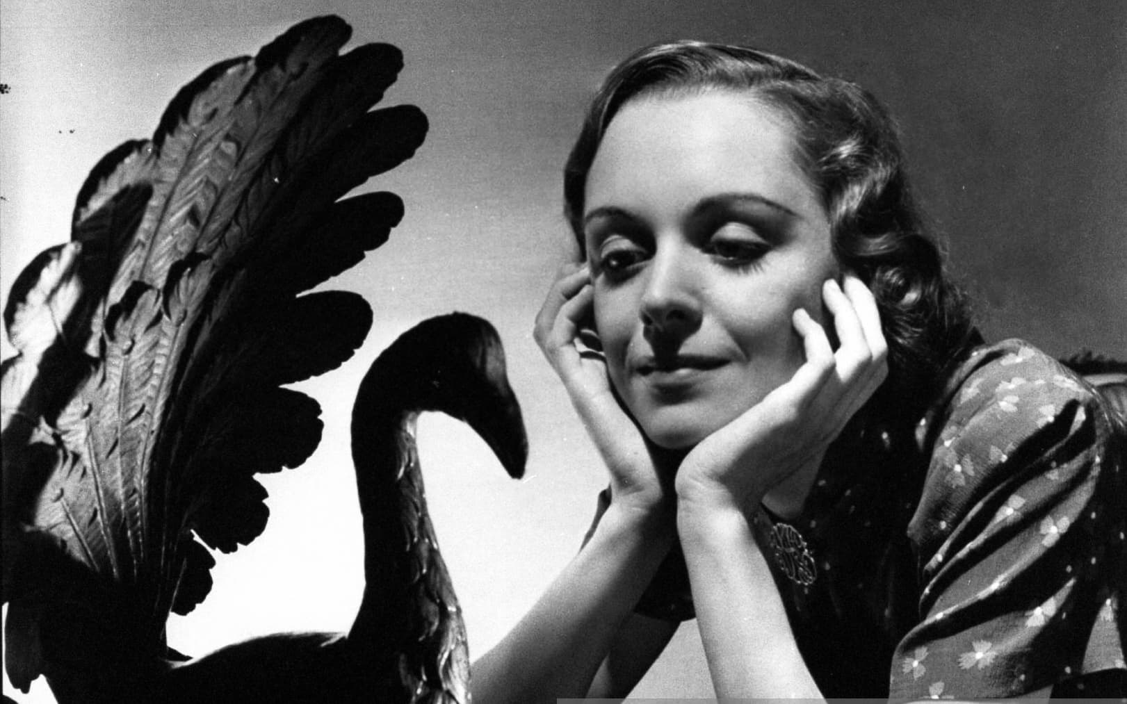 Katherine Locke image