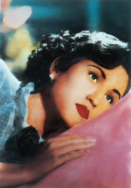 Stella Malucchi image