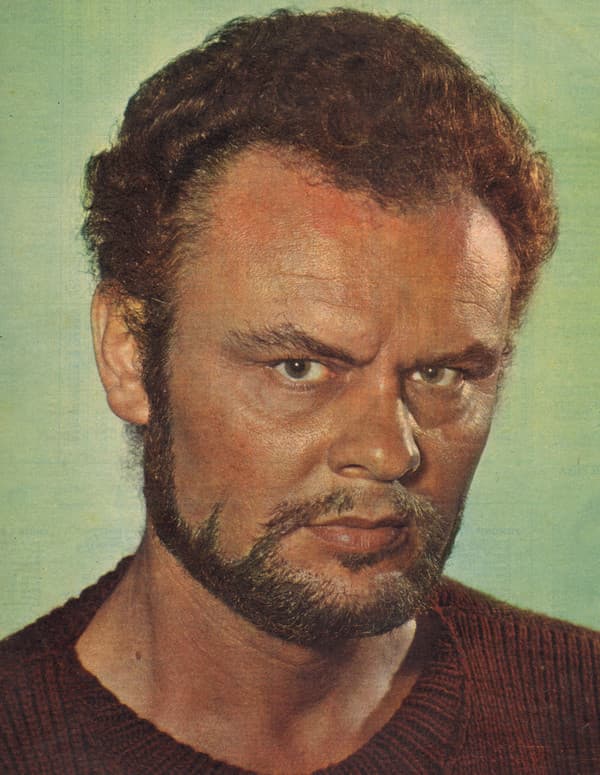 Mario Petri image