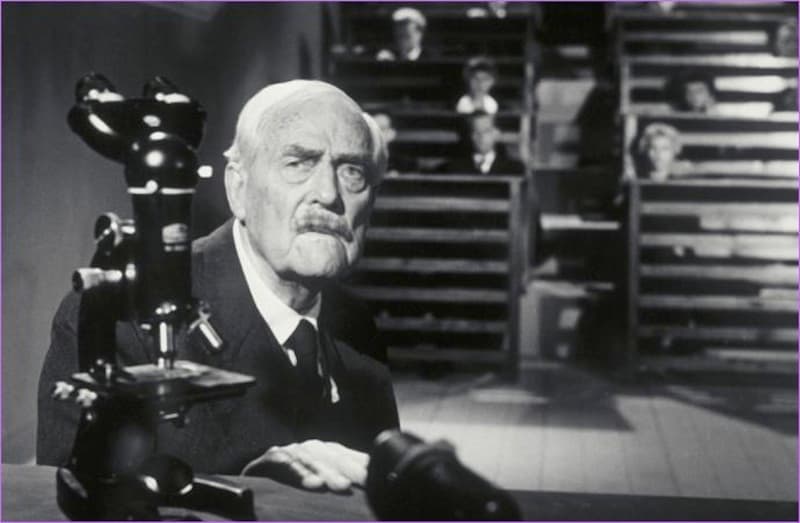 Victor Sjöström image