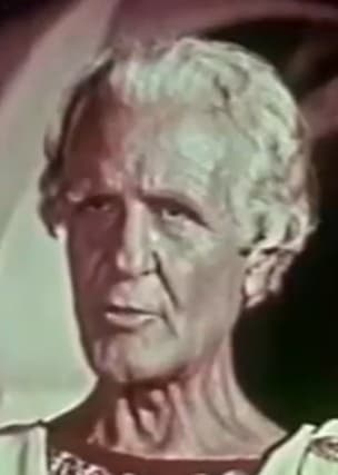 Nando Tamberlani image