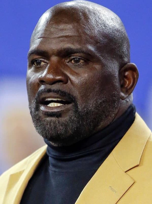 Lawrence Taylor image