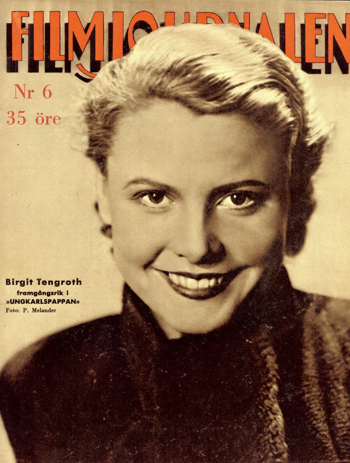 Birgit Tengroth image