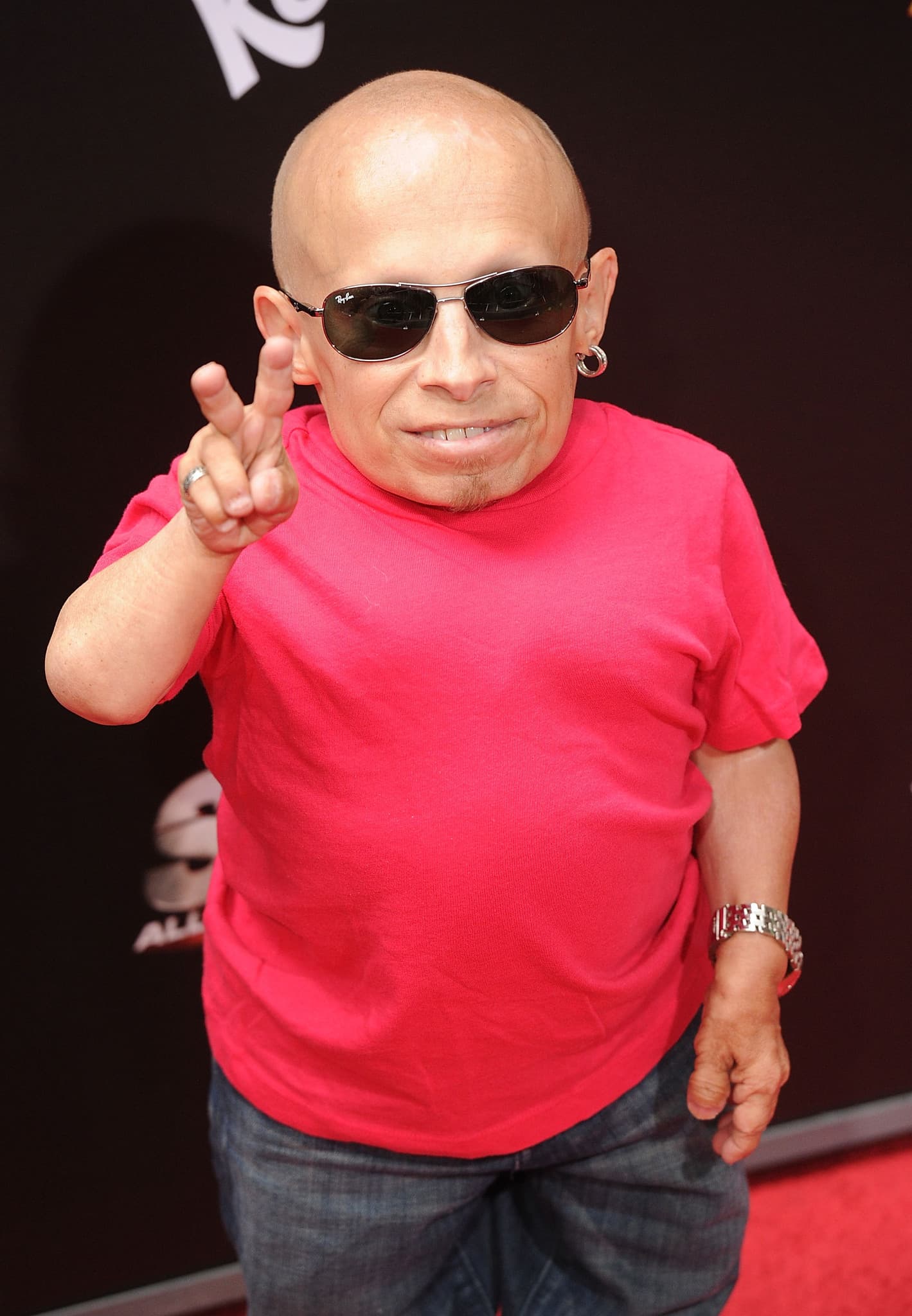 Verne Troyer image