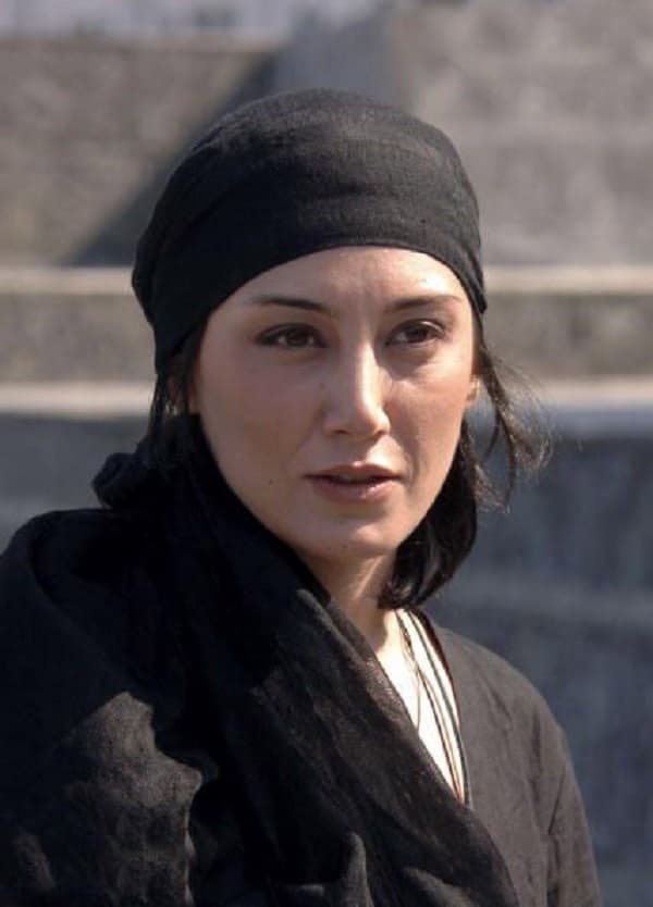 Hediyeh Tehrani image