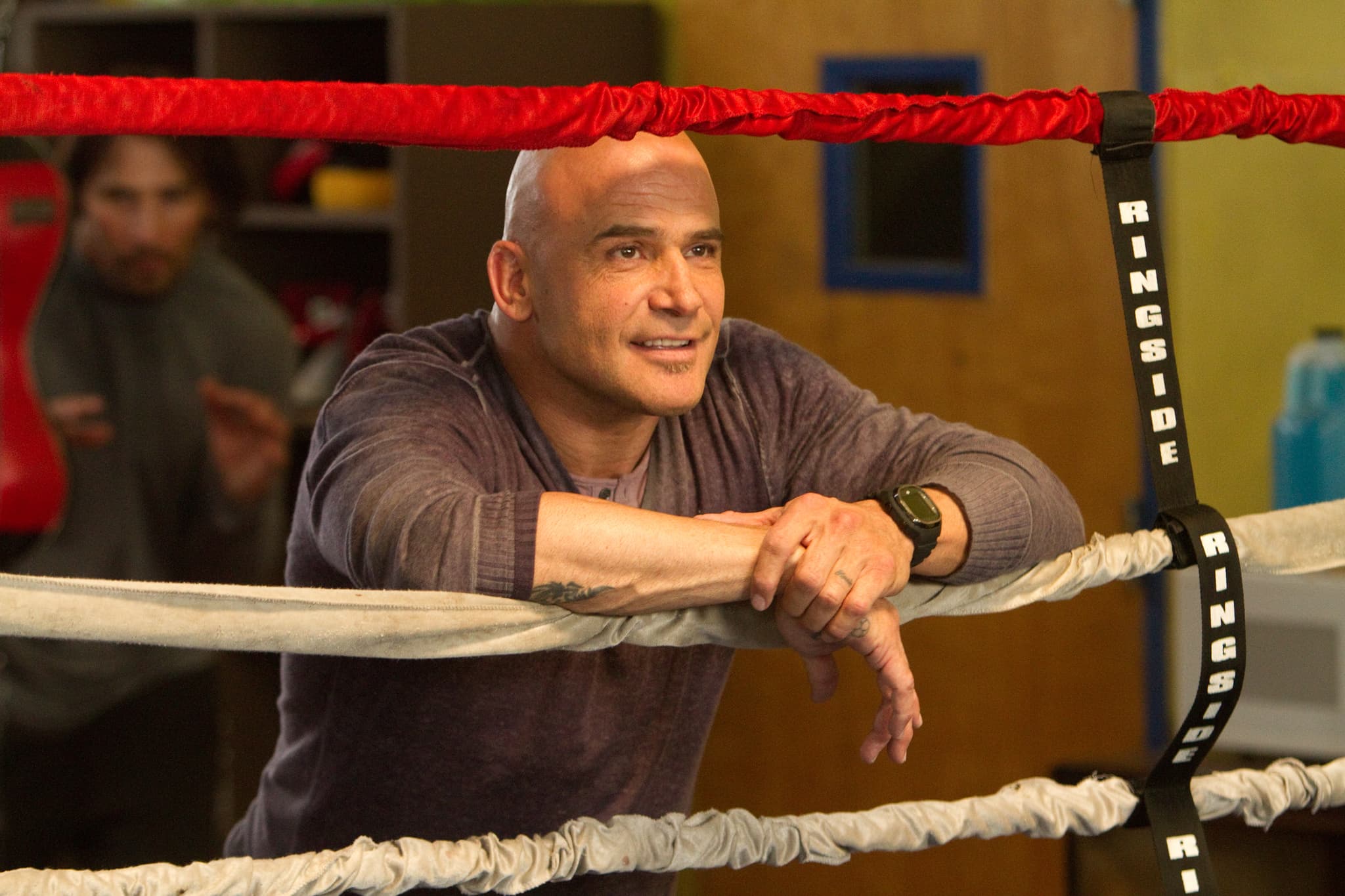 Bas Rutten image