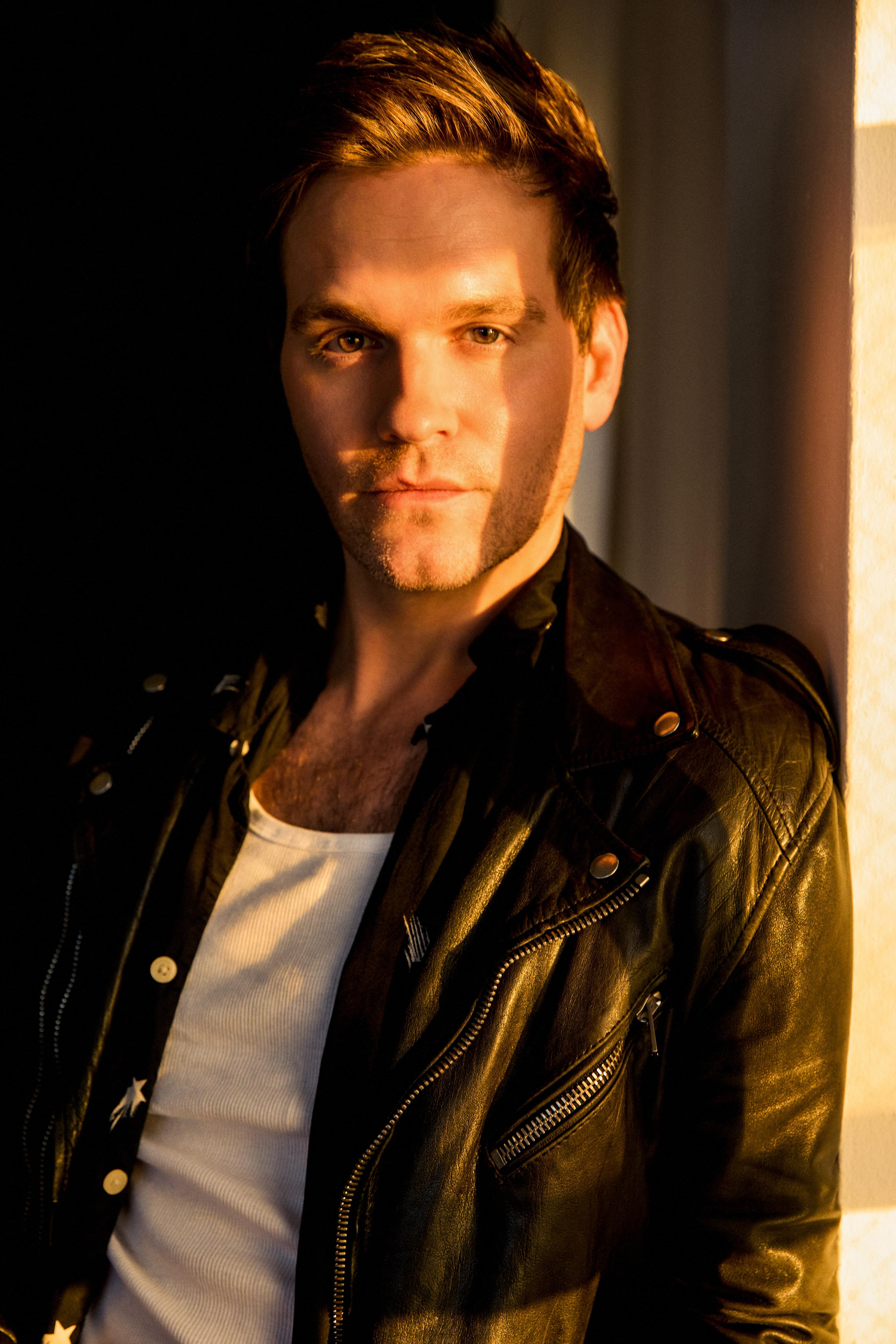 Van Hansis image