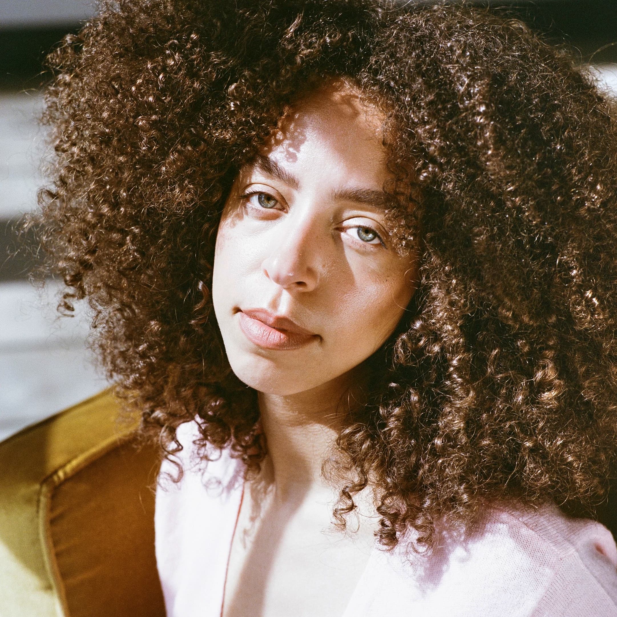 Hayley Law image